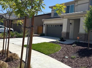 Loni M.'s turf maintenance service result