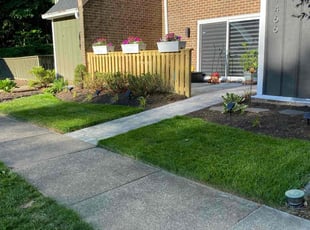 Deborah E.'s grass cutting service result