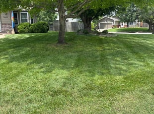Cynthia C.'s lawn maintenance service result