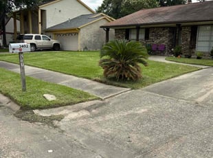 Bri G.'s lawn service service result