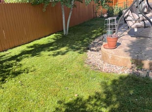 Jason K.'s turf care service result