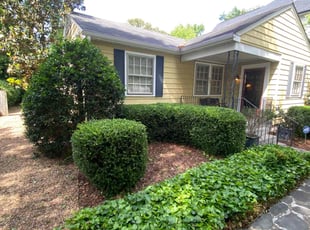 Linda M.'s Bush Trimming service result
