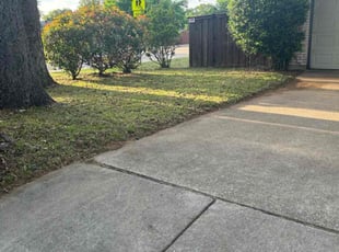 Laura L.'s grass cutting service result