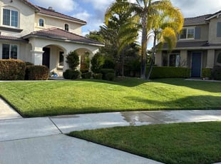 Latosha G.'s lawn care service result