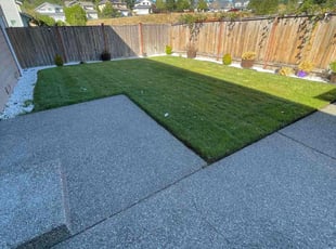 Christopher H.'s lawn care service result
