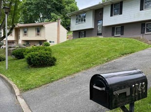 D&#039;Angelo C.'s lawn care service result