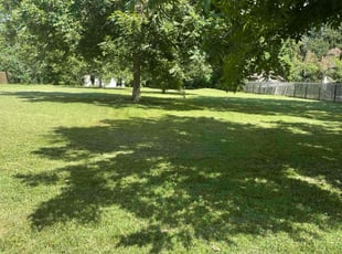 Latonja M.'s lawn service service result