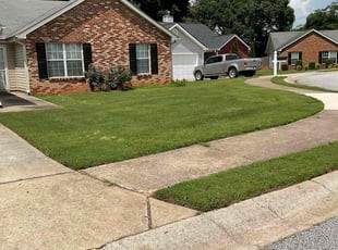 Sheena A..'s grass cutting service result
