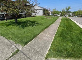 AJ H.'s lawn maintenance service result