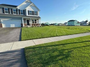 Jeff M.'s grass cutting service result