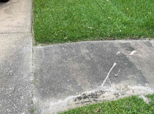 Tom N.'s turf care service result