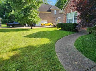 Alana T.'s grass maintenance service result