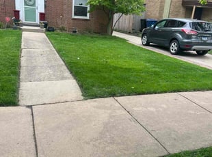 Deborah H.'s lawn care services service result