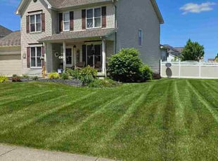 Dylan M.'s lawn care services service result