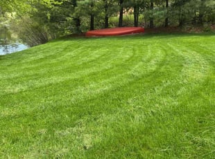James J.'s lawn maintenance service result