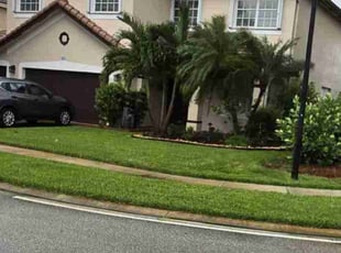 Traci B.'s lawn maintenance service result