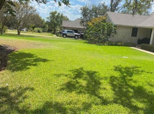 Abena P.'s grass cutting service result