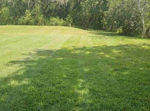 Ray R.'s lawn care service result