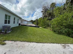 Elizabeth S.'s lawn care service result