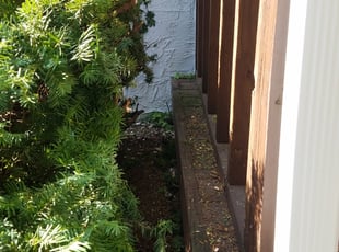 June W.'s Bush Trimming service result