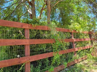 Debra G.'s Cleanups service result