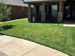 Sally C.'s lawn care services service result