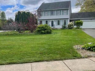 Angel S.'s lawn service service result