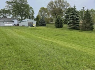 Pamela R.'s turf care service result