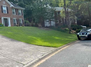 Elizabeth B.'s lawn service service result