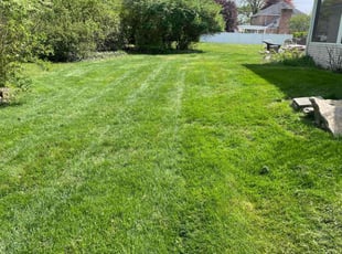 Ericka H.'s lawn care service result
