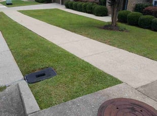 Pranjal T.'s yard care service result