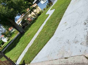 Connie H.'s lawn service service result