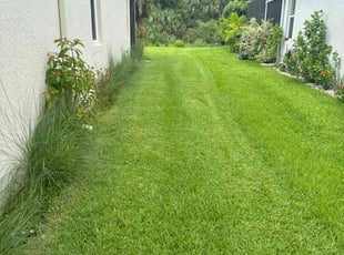 Linda F.'s turf maintenance service result