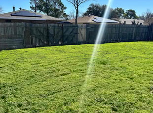Melissa C.'s lawn service service result