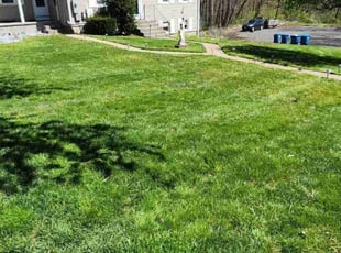 Demario R.'s lawn service service result