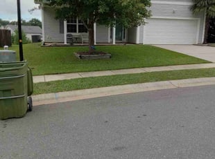 Nigel M.'s grass cutting service result