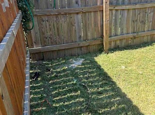 Shawn G.'s lawn maintenance service result