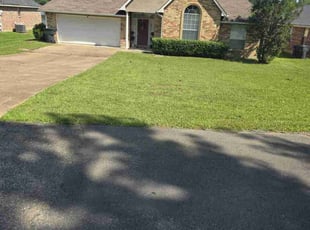 Raceli C.'s grass maintenance service result