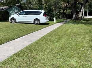 Cathy W.'s lawn maintenance service result