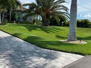 Chilma B.'s grass cutting service result
