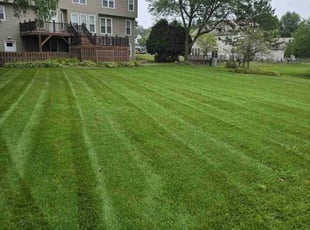 Ethel W.'s lawn care service result