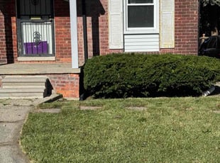 Carlos S.'s Bush Trimming service result