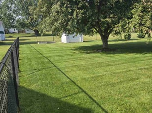 Angel T.'s grass cutting service result