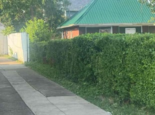 Charles F.'s Bush Trimming service result