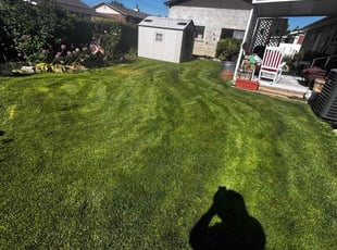 Giancarlo P.'s grass cutting service result