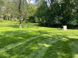 Mark F.'s turf care service result