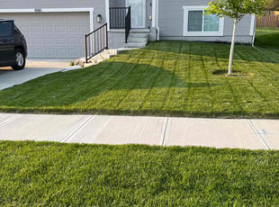 Chan B.'s lawn care service result