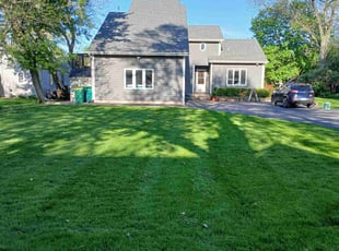 Ann B.'s lawn care service result
