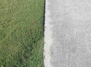 Tanisha B.'s lawn care services service result