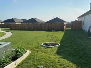 Ivan N.'s turf care service result